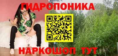 гидра Кандалакша