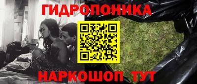 гидра Кандалакша