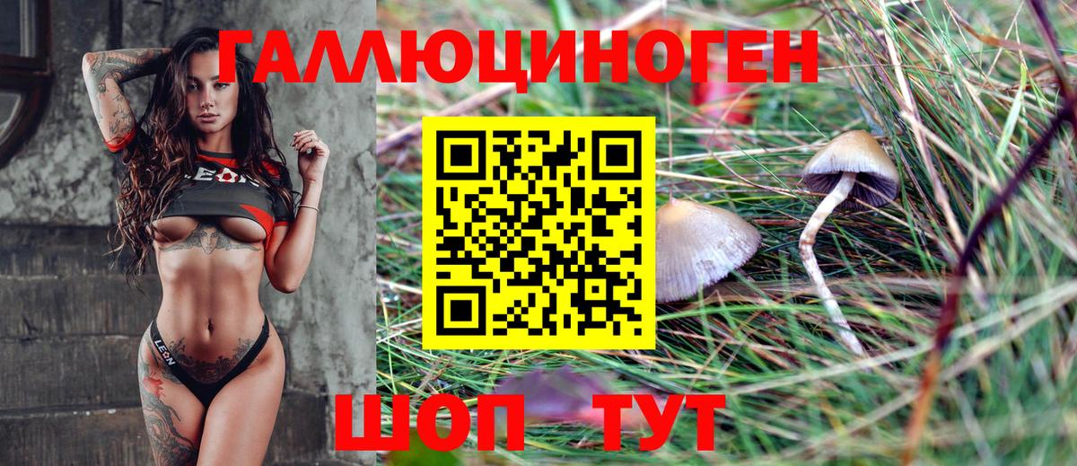 Куйбышев  Псилоцибиновые грибы Magic Shrooms  Галлюциногенные грибы ЛСД  Вход с VPN 