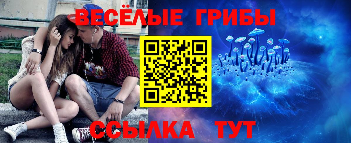 Галлюциногенные грибы Magic Shrooms Куйбышев